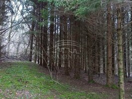 Parduodamas sklypas Klaipėdos rajono sav., Pažvelsyje