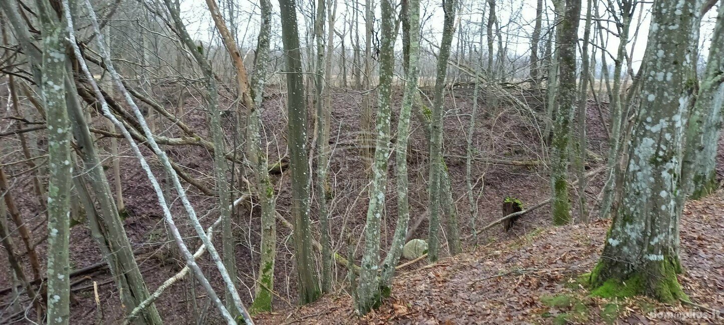 Parduodamas sklypas Klaipėdos rajono sav., Pažvelsyje