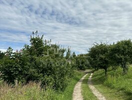 Parduodamas sklypas Klaipėdos rajono sav., Dituvoje