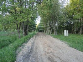 Parduodamas sklypas Klaipėdos rajono sav., Šaipiuose