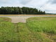 Land for sale Panevėžio rajono sav., Liūdynėje, Senasis Vilniaus kel. (5 picture)