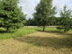 Land for sale Panevėžio rajono sav., Liūdynėje, Senasis Vilniaus kel. (7 picture)