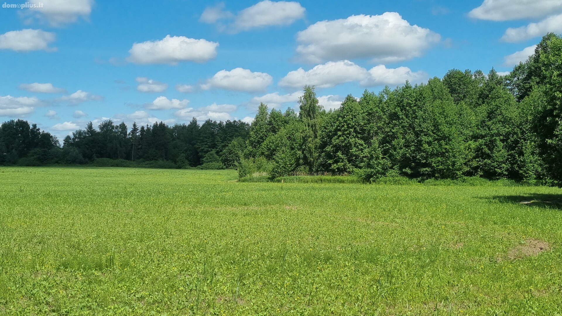 Parduodamas sklypas Kauno rajono sav., Gaižėnuose, Gaižėnų g.