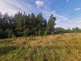 Land for sale Druskininkų sav., Viečiūnuose