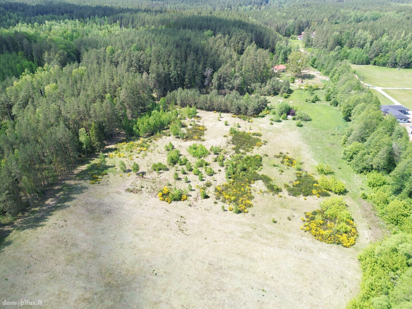 Parduodamas sklypas Druskininkų sav., Gailiūnuose