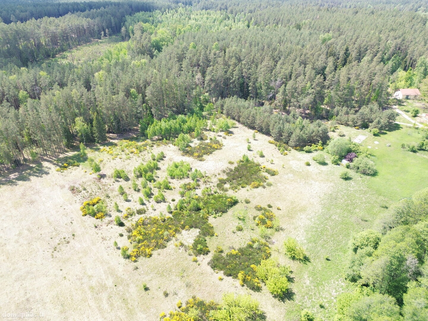 Parduodamas sklypas Druskininkų sav., Gailiūnuose