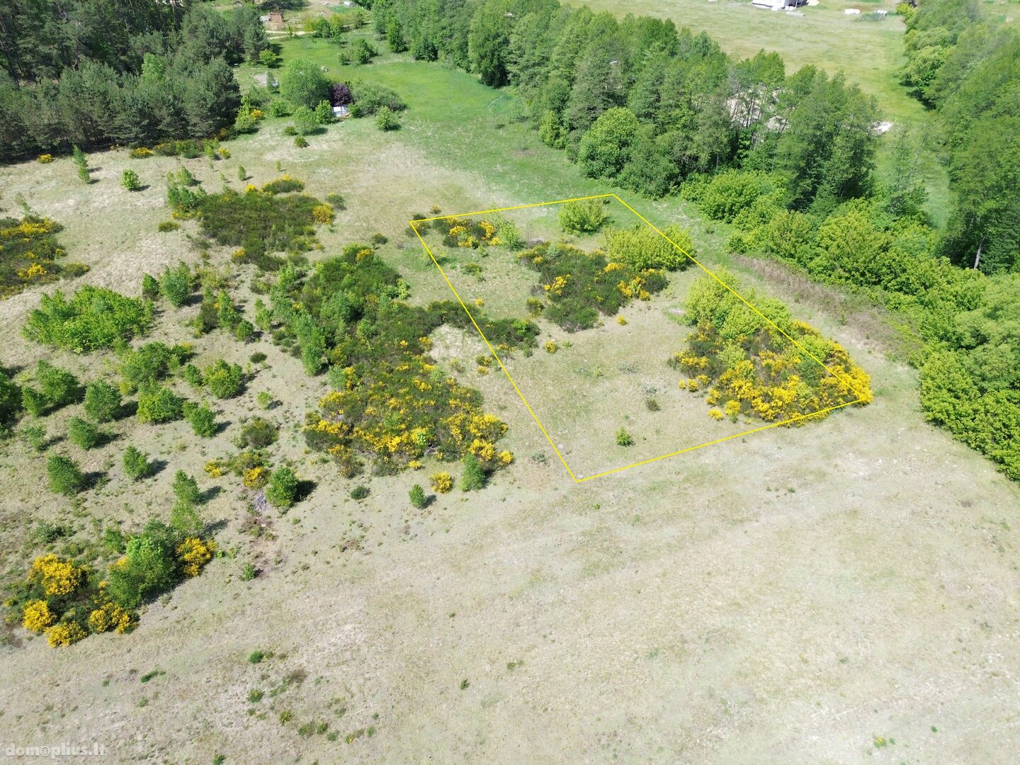Parduodamas sklypas Druskininkų sav., Gailiūnuose