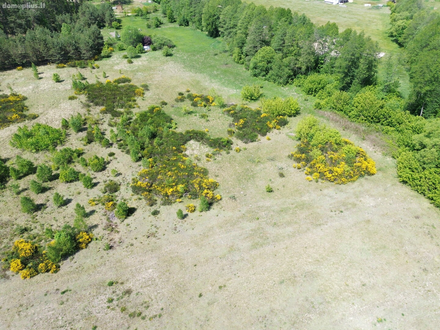 Parduodamas sklypas Druskininkų sav., Gailiūnuose
