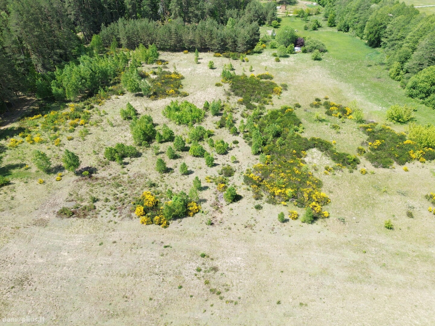 Parduodamas sklypas Druskininkų sav., Gailiūnuose