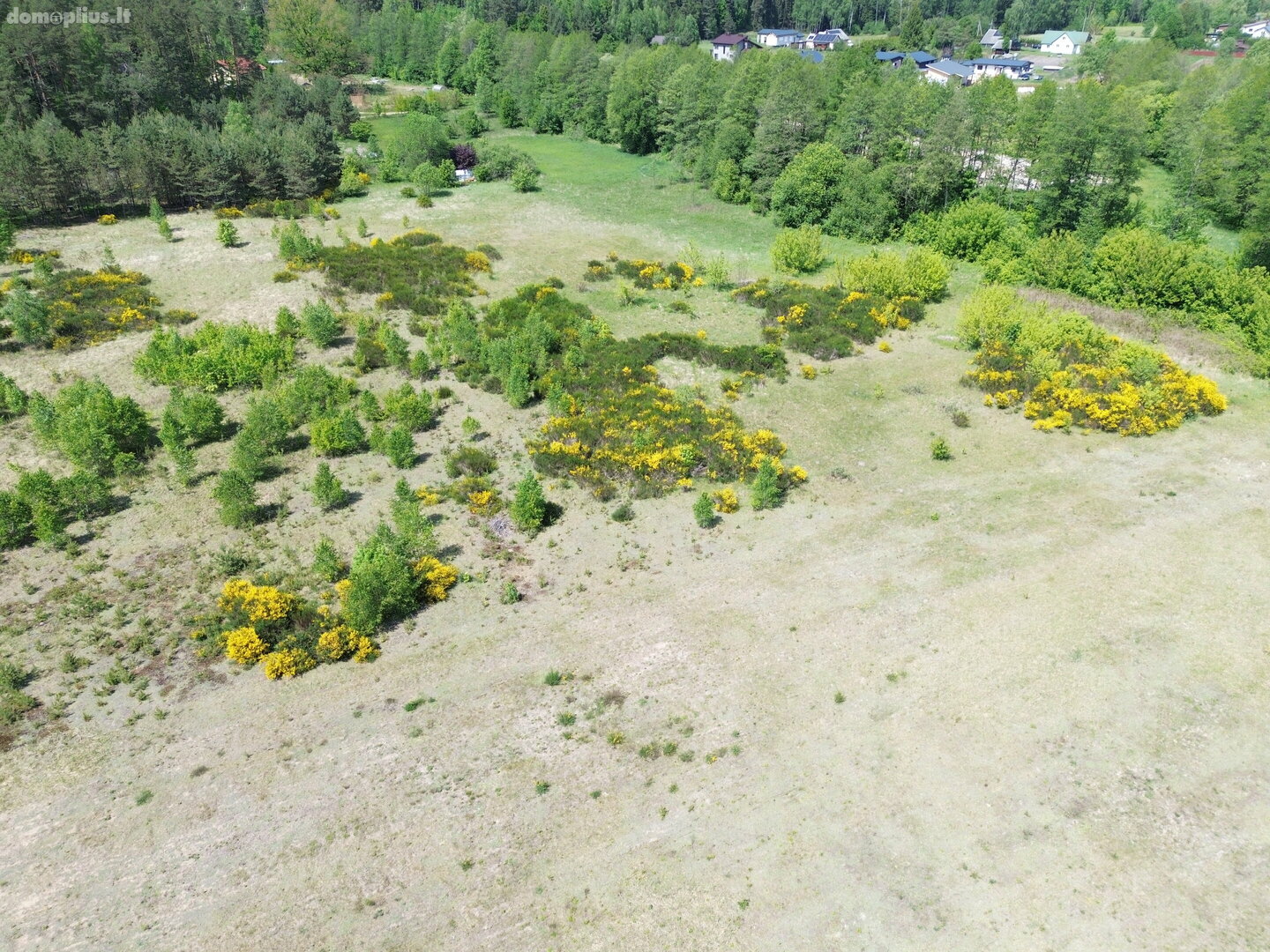 Parduodamas sklypas Druskininkų sav., Gailiūnuose