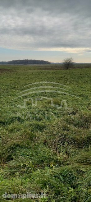 Land for sale Klaipėdos rajono sav., Ežaičiuose