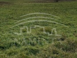 Parduodamas sklypas Klaipėdos rajono sav., Ežaičiuose