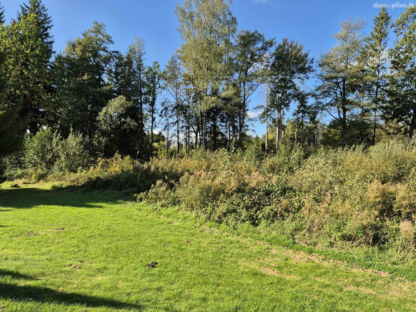 Parduodamas sklypas Kazlų Rūdos sav., Ąžuolų Būda, Marijampolės g.