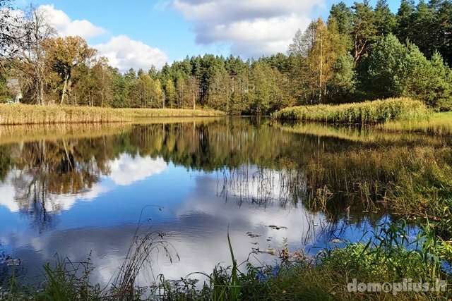 Участок Druskininkų sav., Kermušijoje, Kermušijos g.