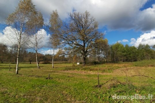 Участок Druskininkų sav., Kermušijoje, Kermušijos g.