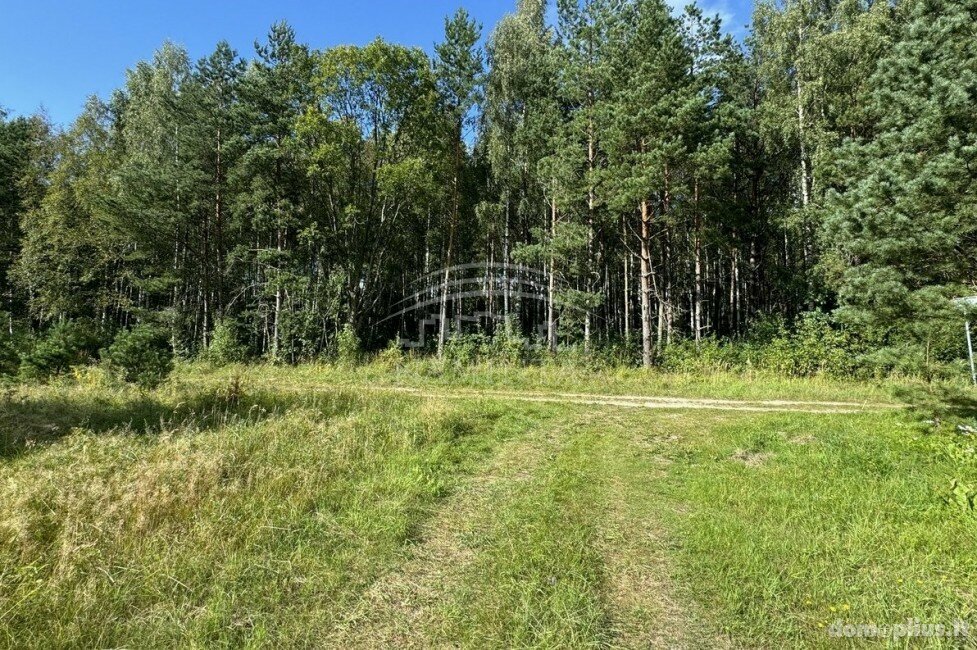 Parduodamas sklypas Kretingos rajono sav., Drumulyje, Stirnos g.