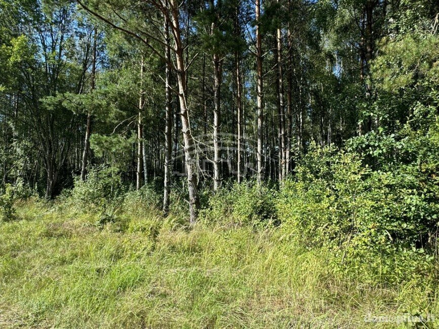 Parduodamas sklypas Kretingos rajono sav., Drumulyje, Stirnos g.