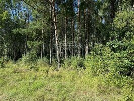 Parduodamas sklypas Kretingos rajono sav., Drumulyje, Stirnos g.