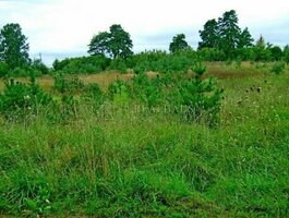 Land for sale Trakų rajono sav., Lentvaryje