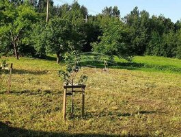 Sklypas Kretingos rajono sav., Kretingoje