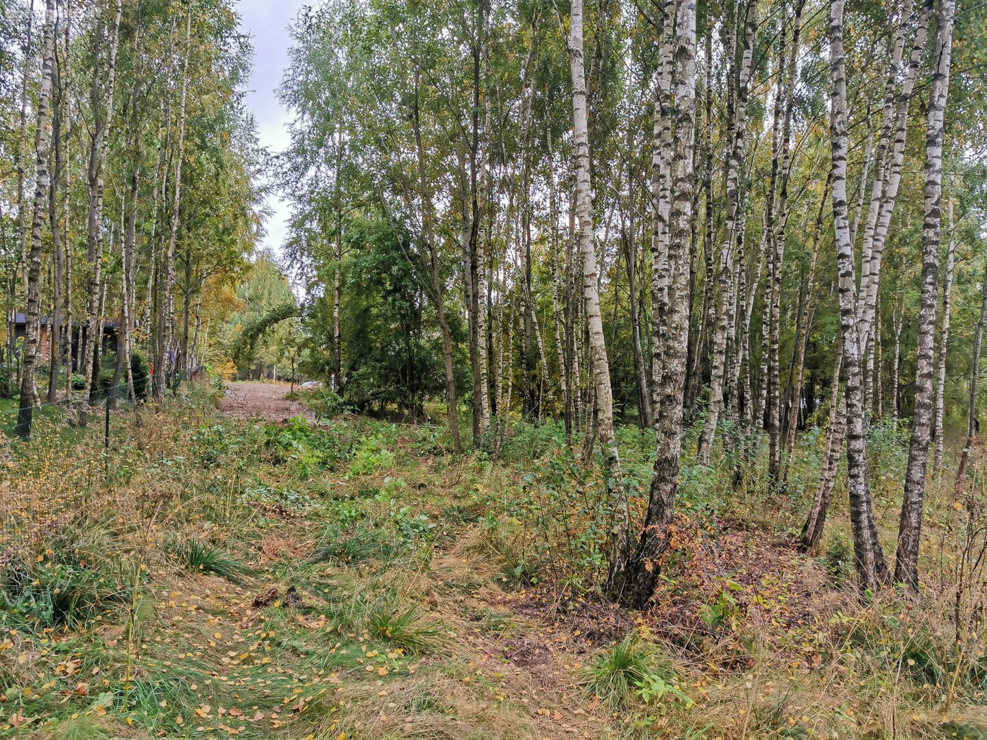 Участок Vilniaus rajono sav., Skaidiškėse