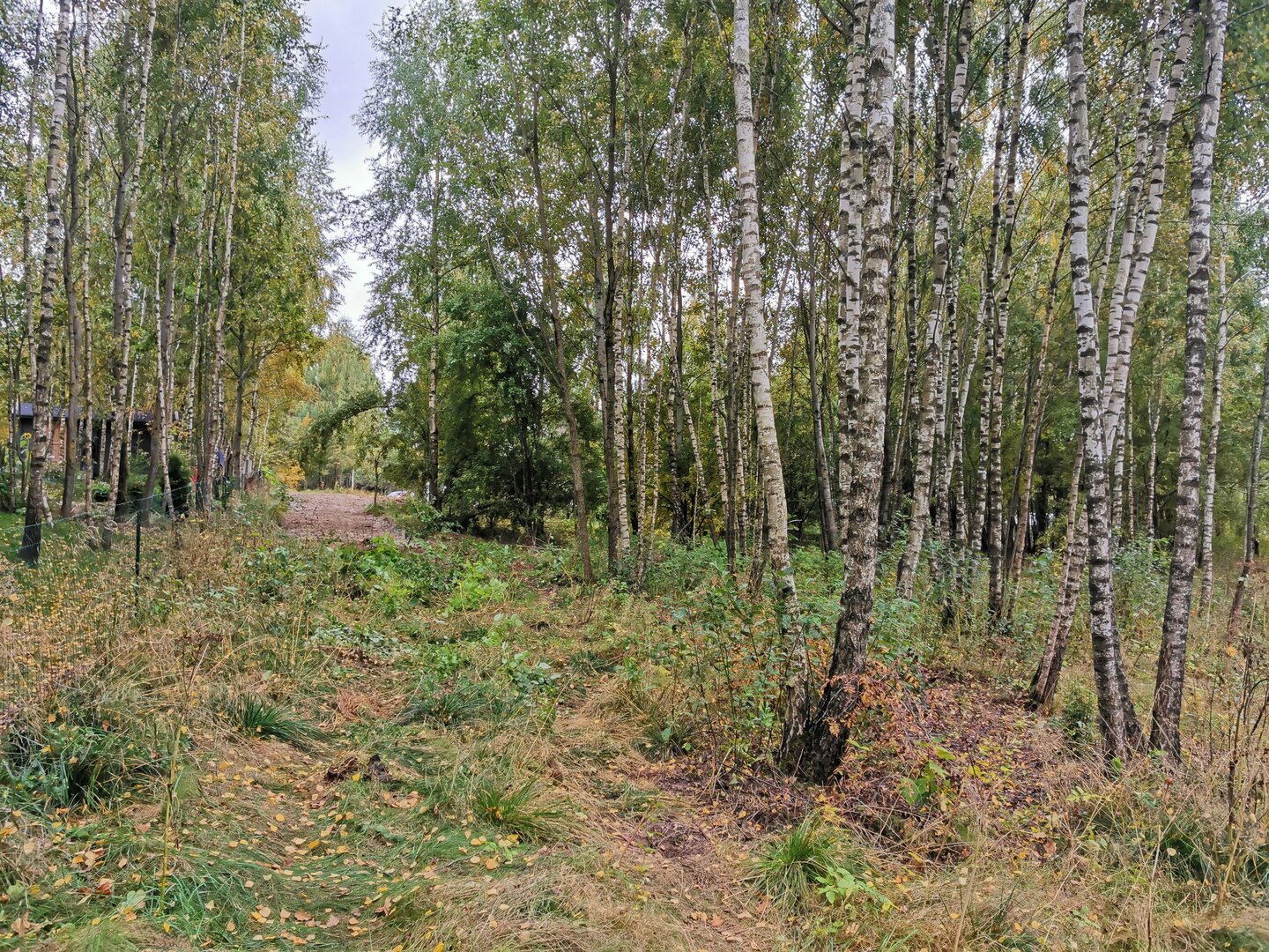 Parduodamas sklypas Vilniaus rajono sav., Skaidiškėse