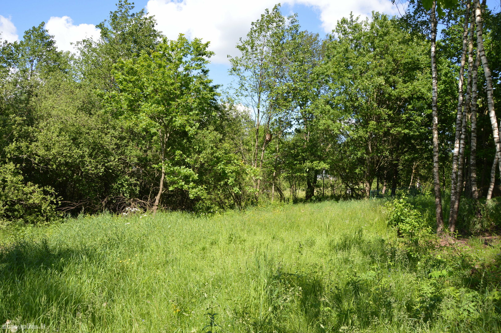 Land for sale Vilniaus rajono sav., Skaidiškėse