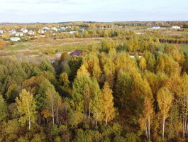 Land Vilniuje, Skaidiškėse