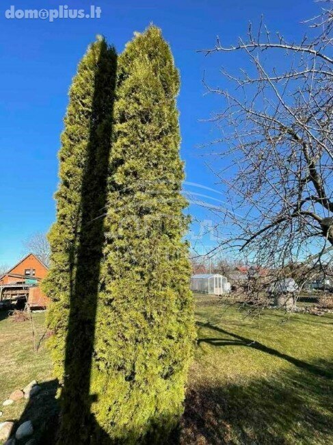 Участок Klaipėdos rajono sav., Radailiuose