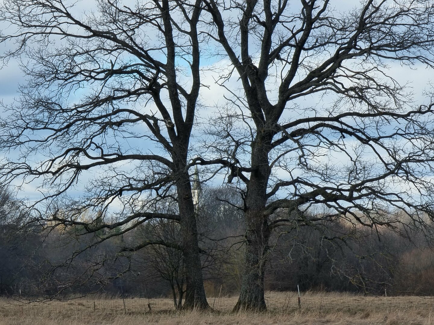 Land for sale Klaipėdos rajono sav., Maciuičiuose