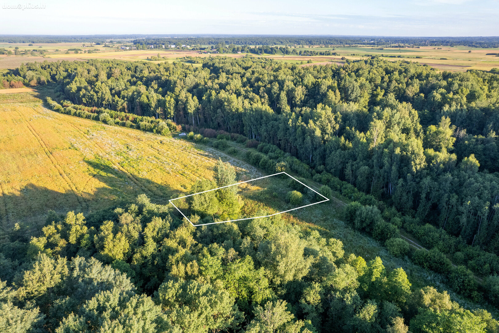 Land for sale Vilniaus rajono sav., Rudokuose