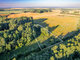 Land for sale Vilniaus rajono sav., Rudokuose (6 picture)