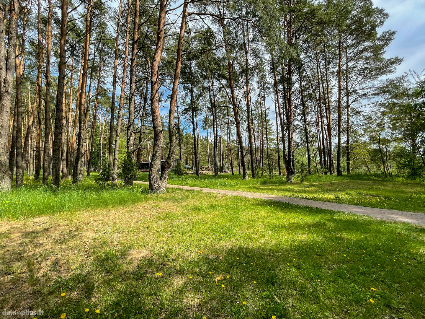 Land for sale Druskininkų sav., Druskininkuose, Dzūkų g.