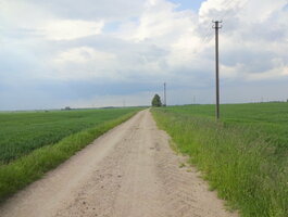 Land for sale Marijampolės sav., Baraginėje, Užupių g.