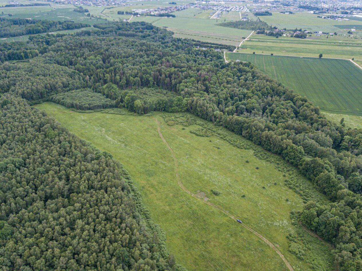Parduodamas sklypas Klaipėdos rajono sav., Radailiuose