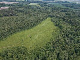 Parduodamas sklypas Klaipėdos rajono sav., Radailiuose