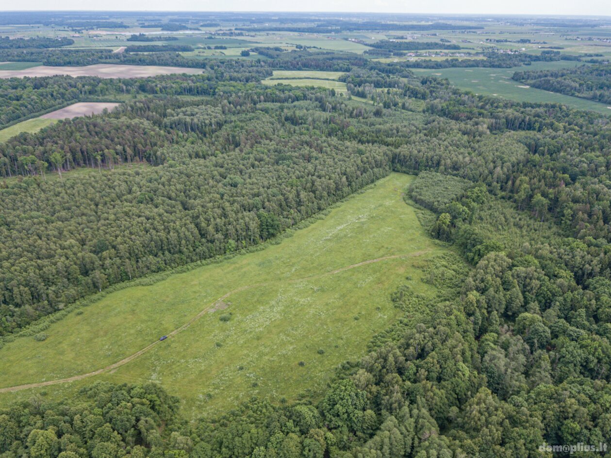 Land for sale Klaipėdos rajono sav., Radailiuose