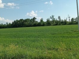 Land for sale Kretingos rajono sav., Jokūbave