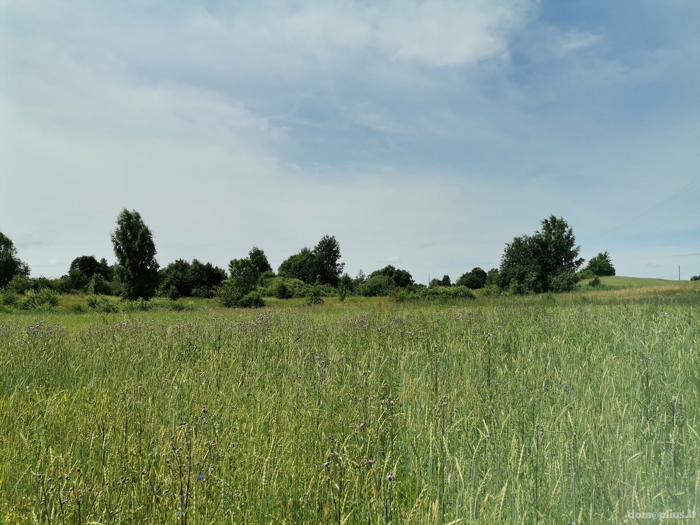 Land for sale Alytaus rajono sav., Dauguose, Alytaus g.