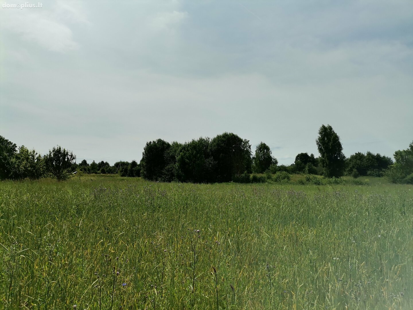Land for sale Alytaus rajono sav., Dauguose, Alytaus g.