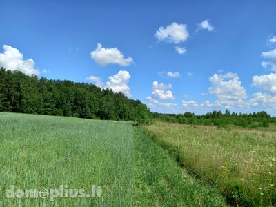 Land for sale Vilniaus rajono sav., Pailgėje