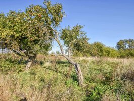 Land for sale Panevėžio rajono sav., Meškiuose