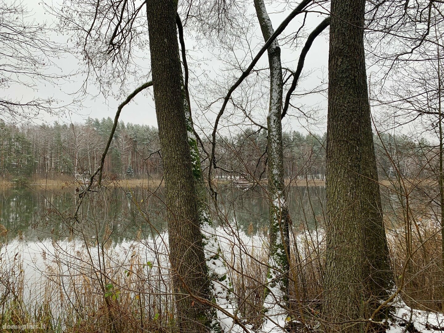 Parduodamas sklypas Druskininkų sav., Grūte, Ilgio g.