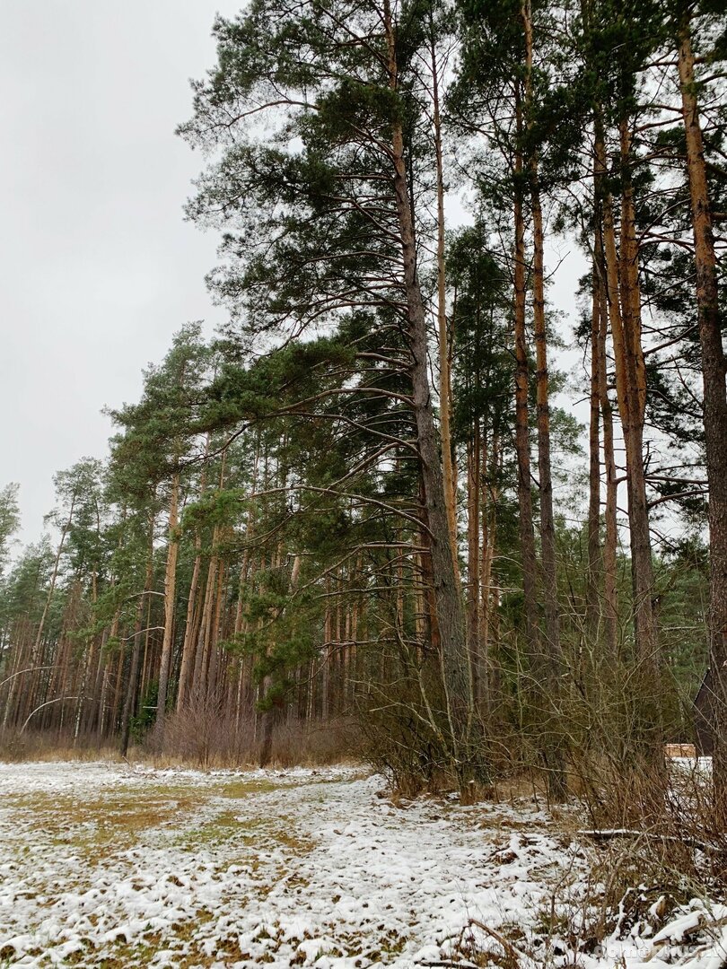 Участок Druskininkų sav., Grūte, Ilgio g.