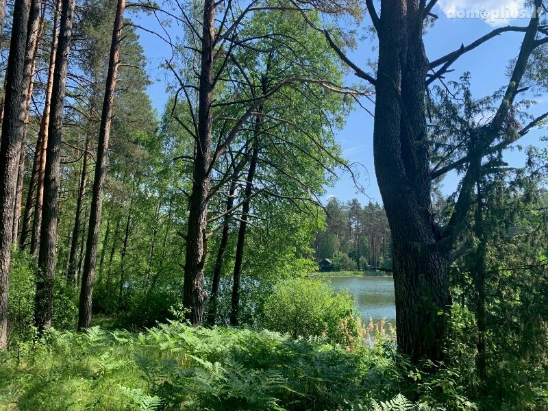 Parduodamas sklypas Druskininkų sav., Grūte, Ilgio g.