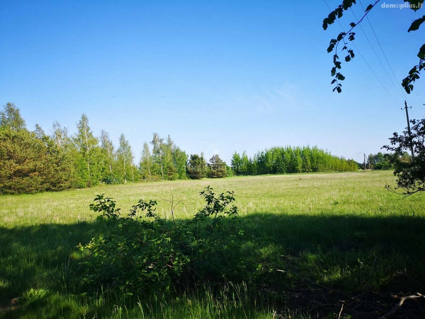 Land for sale Klaipėdos rajono sav., Svencelėje