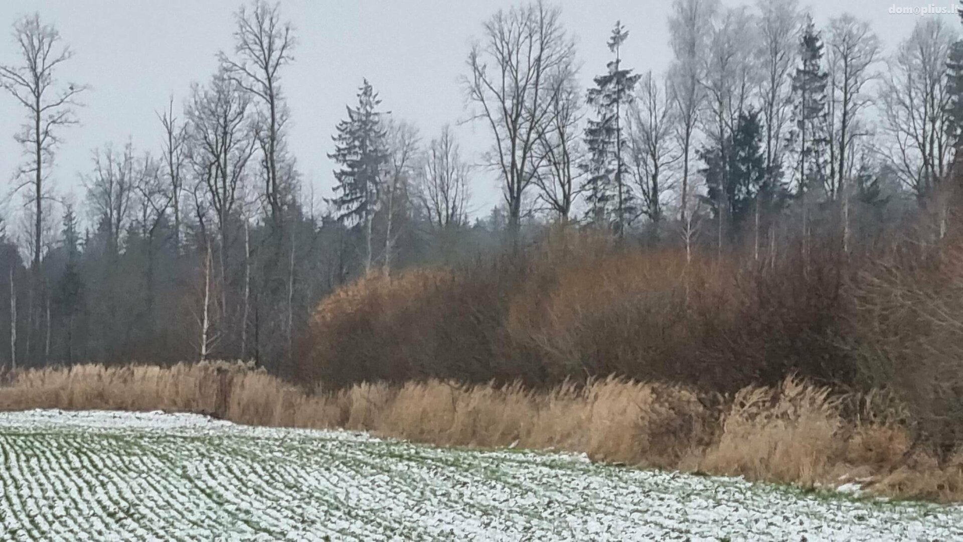 Parduodamas sklypas Kauno rajono sav., Girininkai I, Eglyno g.