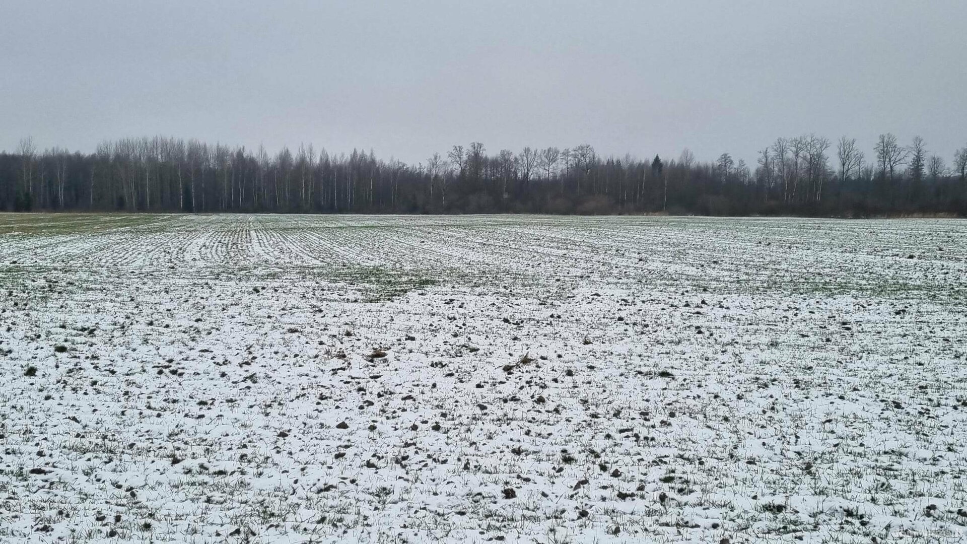 Parduodamas sklypas Kauno rajono sav., Girininkai I, Eglyno g.