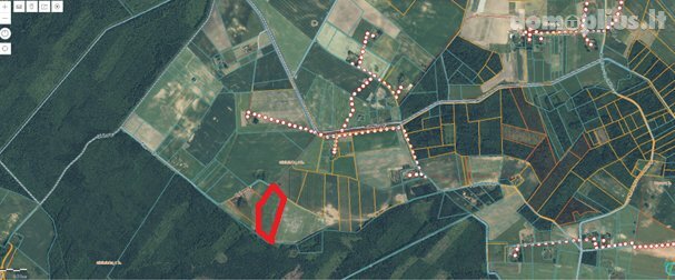 Parduodamas sklypas Kauno rajono sav., Girininkai I, Eglyno g.