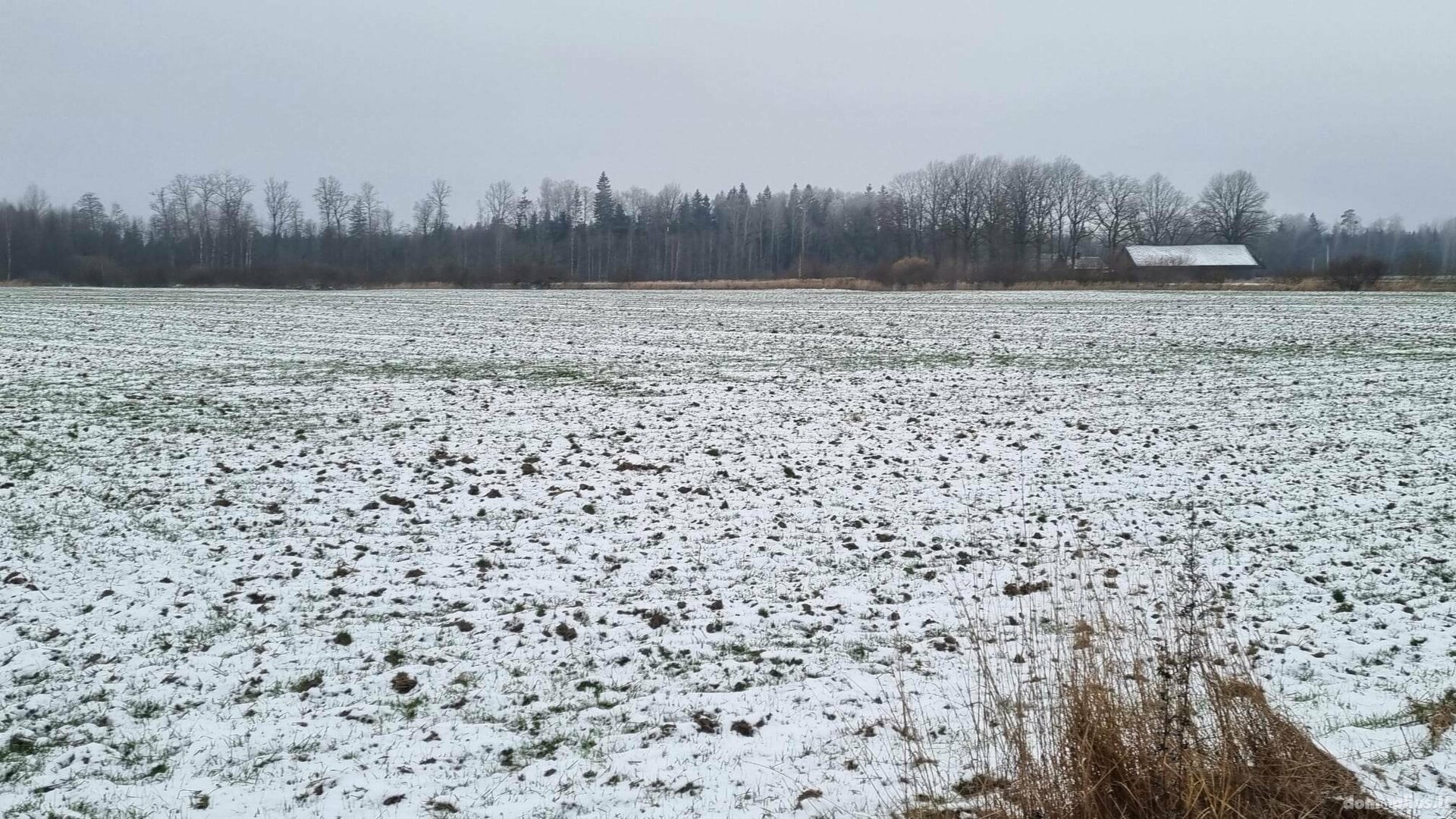 Parduodamas sklypas Kauno rajono sav., Girininkai I, Eglyno g.